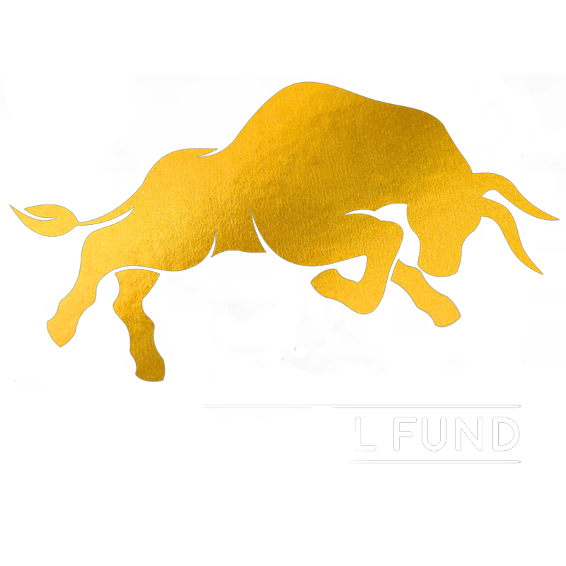 NT Global Fund